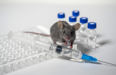 Can Mouse Pheromones Research Offer New Control Solutions?