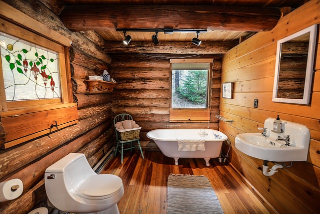 bathroom with silverfish