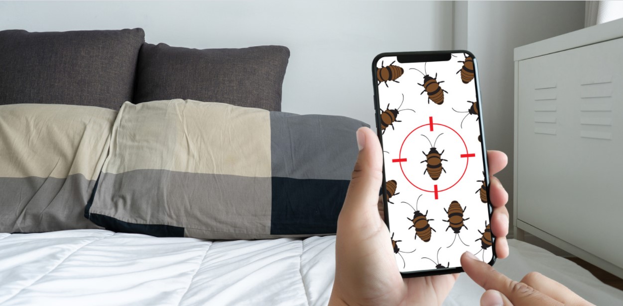 bed bug treatment