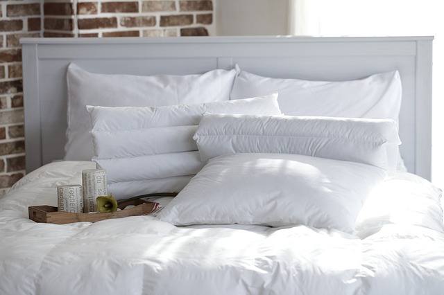 bed bugs symptoms guide