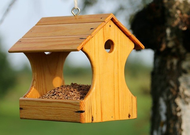 bird feeder garden