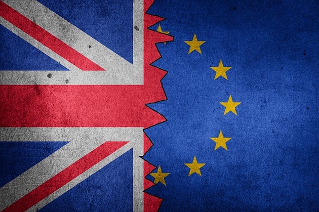 brexit flags pest control