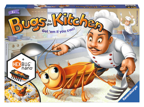 bugs in the kitchen