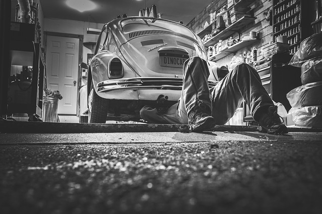 Protect Your Car Against Rodent Infestations