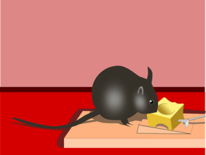 rodent control in london