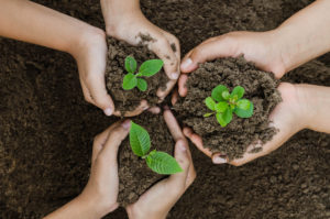 children planting with eco pest control