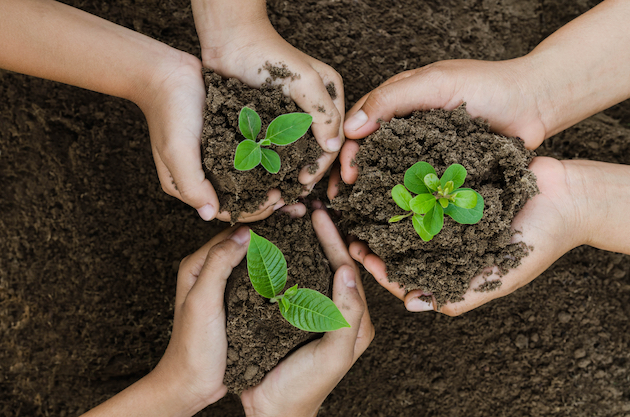 children planting with eco pest control