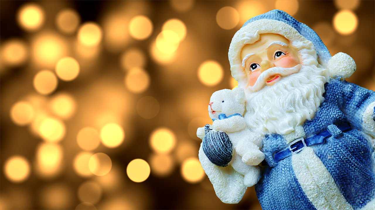 christmas pest proofing