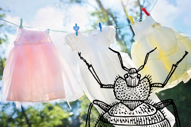 clothes line in london garden