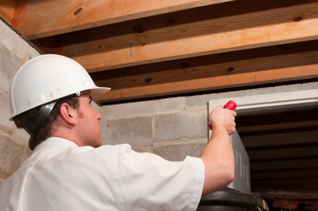 commercial pest control