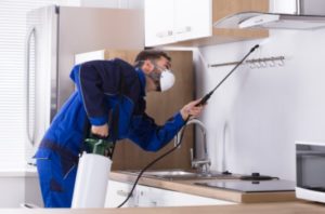common pest control