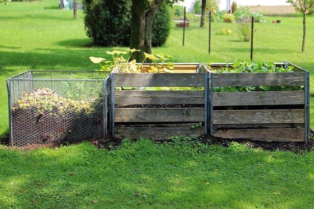 compost heap