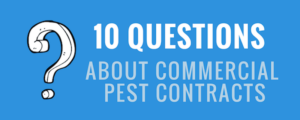 contracts featured image