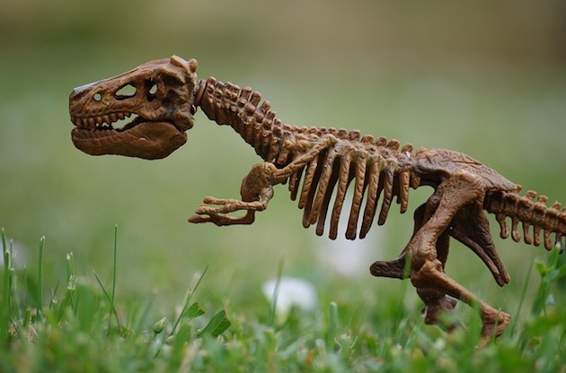 dinosaur skeleton