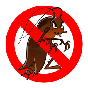 Bed Bugs