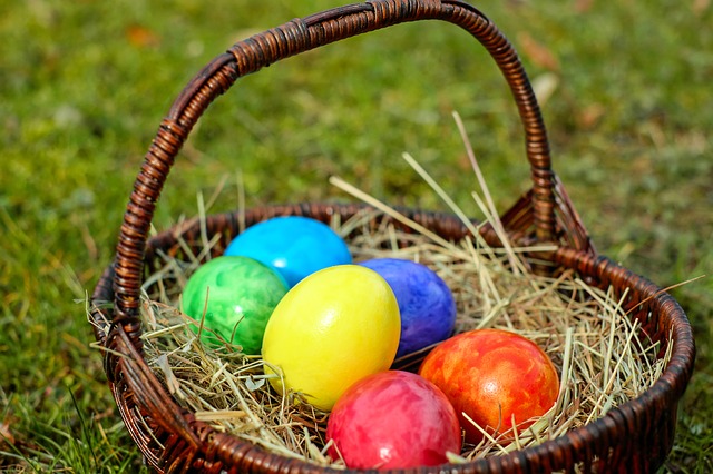 What Will You Be Hunting: Easter Eggs Or Pest Eggs?