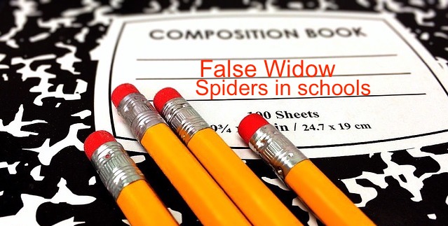 False Widow Spider UK Alert Closes London Schools!