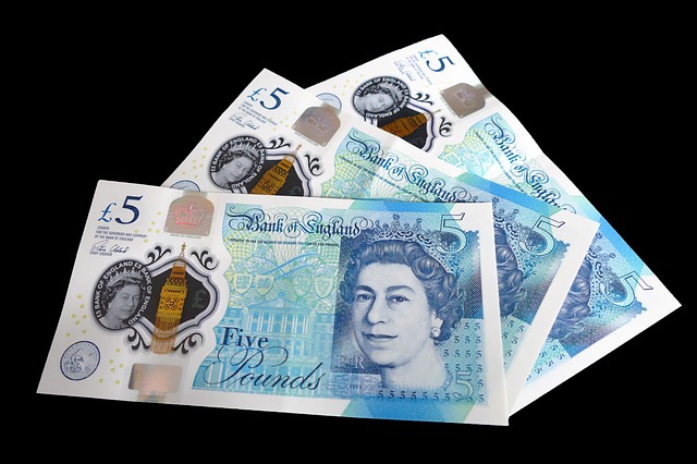 pest control costs money