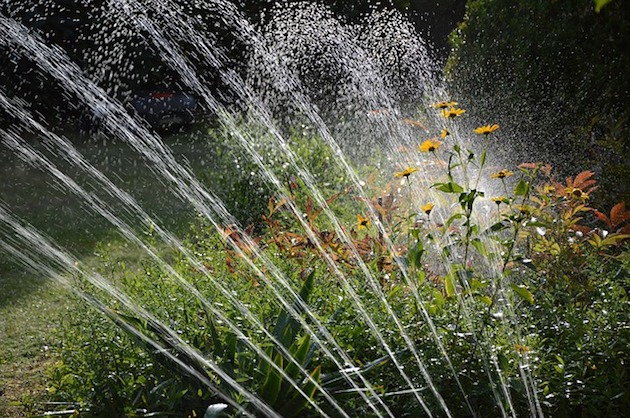 garden sprinkler