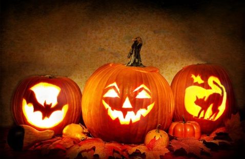 Protect Pumpkins From Pests This Halloween