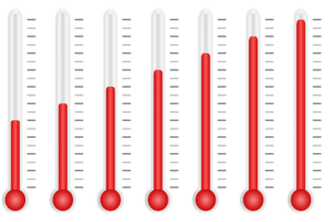 high temperatures kill bed bugs