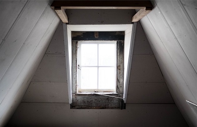 a london rat in the attic
