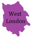 West London Pest Control for Healthy Living