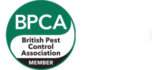 pest control essex