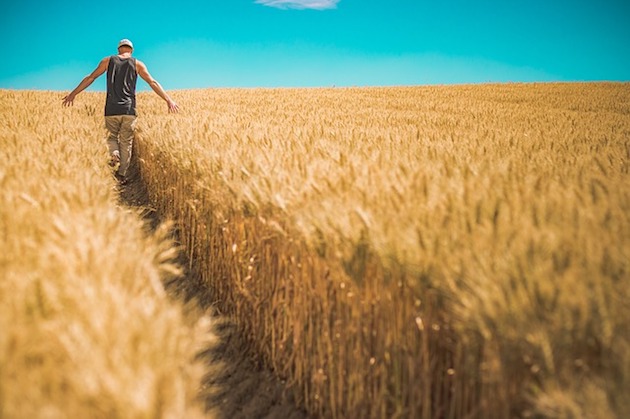 pest climate crop damage