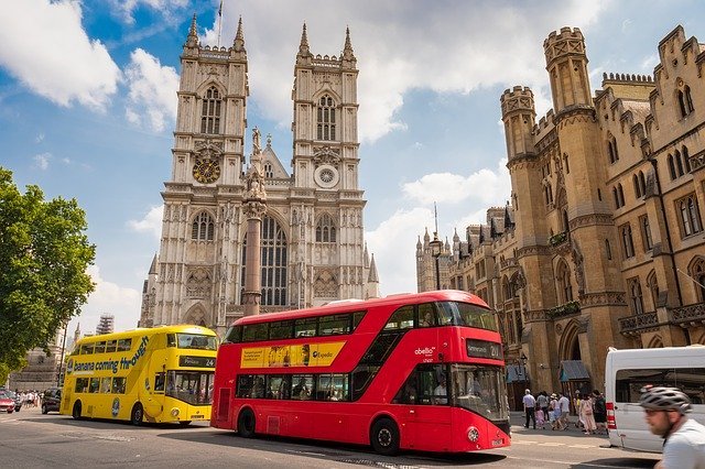 Pest Control for the City of Westminster