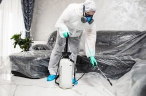 pest control east tilbury