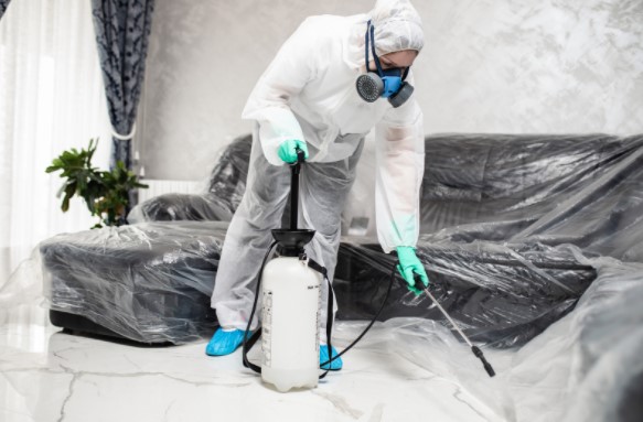 pest control east tilbury