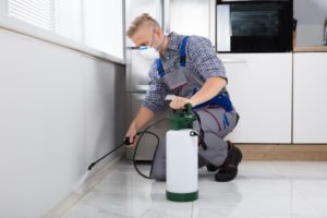 pest control greenwich peninsula