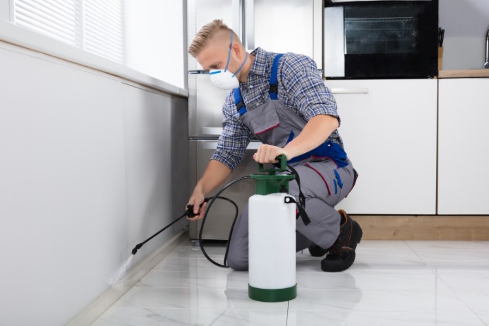 pest control greenwich peninsula