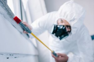 pest control st mary axe ec3