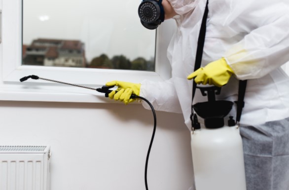 pest control stock