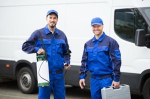 pest control west green