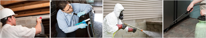 Empire pest control technician working 