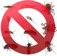 No Pests Allowed