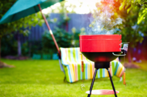pest free backyard party