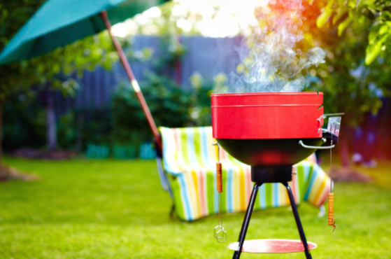 3 Ways to Have an Insect free Backyard Party