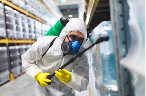 pest proof services