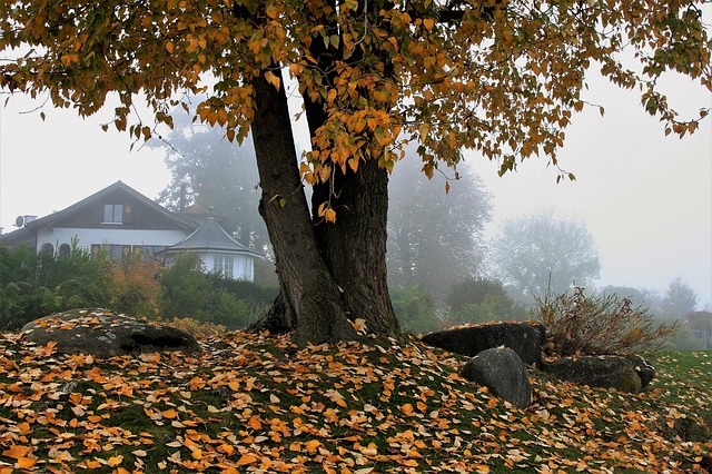 pest proofing for autumn