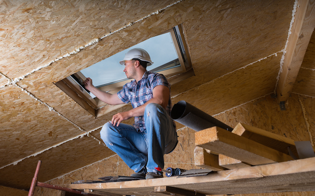 pest technician investigates loft