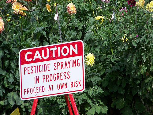 New pesticide ‘harmless’ to honey bees
