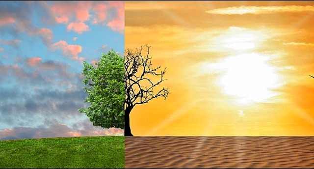 pests in london climate