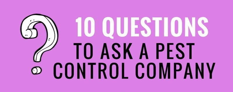 questions to ask