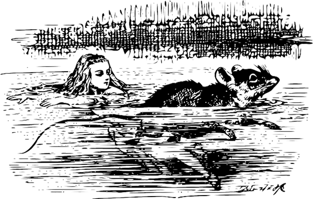 rat swimming with alice