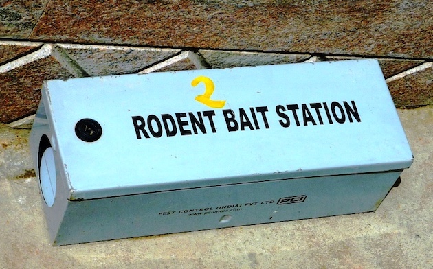 rodent bait station