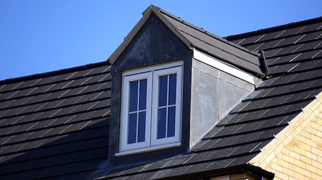 roof damaged by squirrels